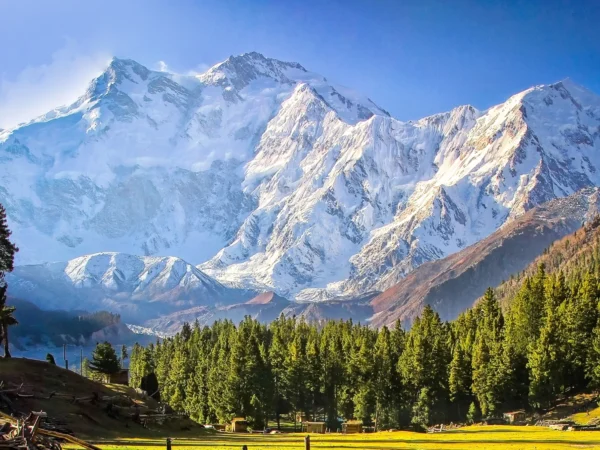 Nanga Parbat Base Camp Trek